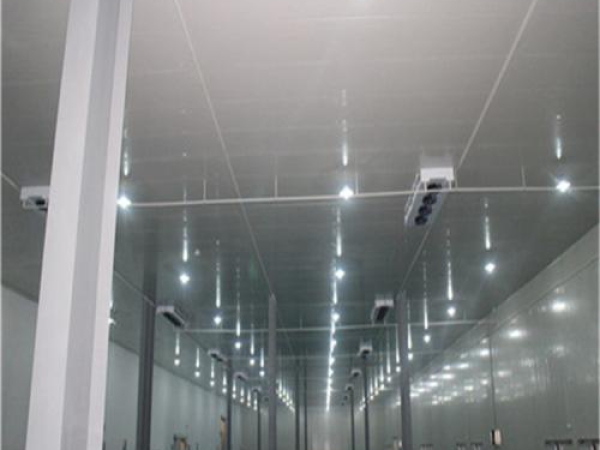 建造安裝食品低溫冷藏庫有哪些因素影響造價？